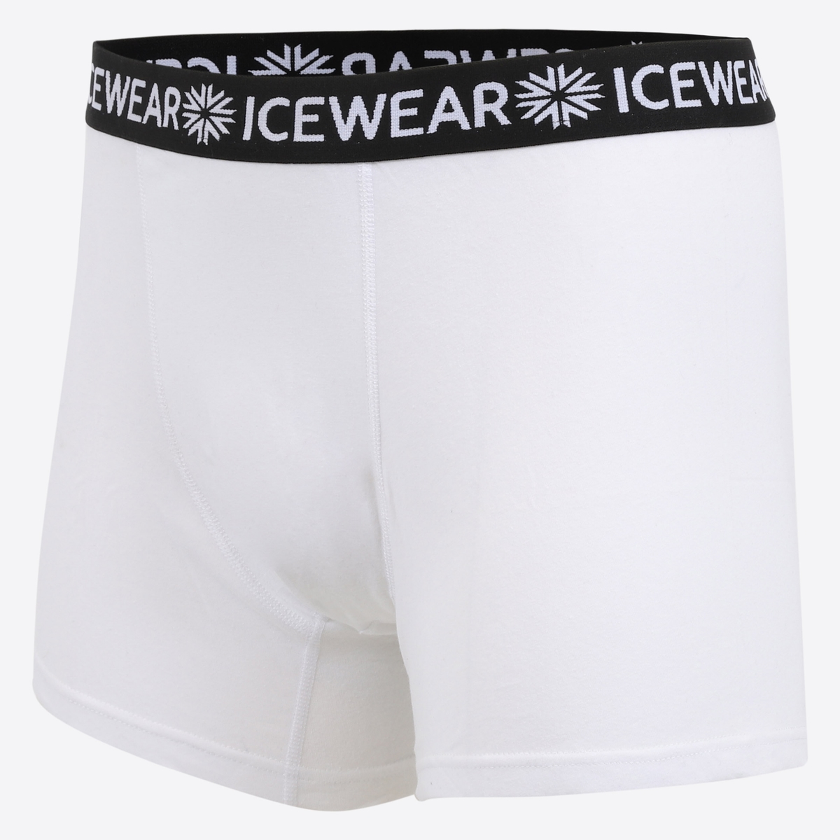 underwear-boxer-shorts-iceland-91.jpeg